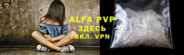индика Верхний Тагил