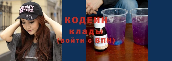 индика Верхний Тагил