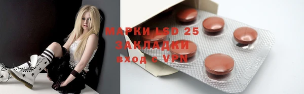 индика Верхний Тагил