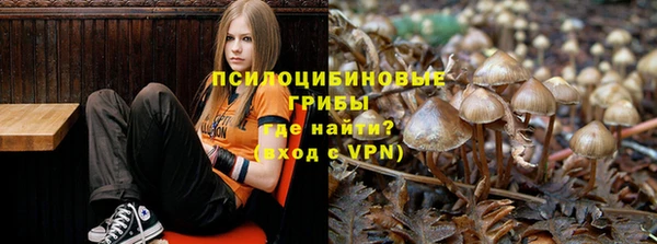 твердый Верея