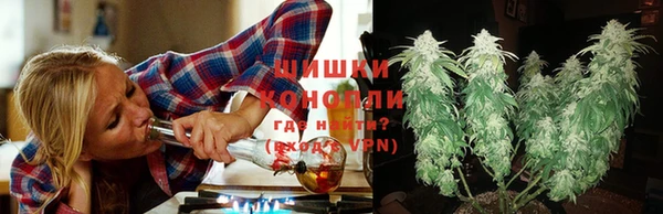 индика Верхний Тагил
