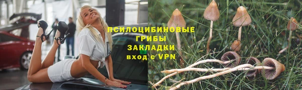 индика Верхний Тагил