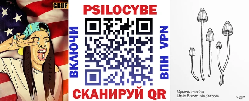 кракен зеркало  Ленинградская  Галлюциногенные грибы прущие грибы 